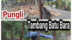 Waduhhh, Diduga Pengusaha Batu Bara Cihara Setor 2 Juta Per Tronton untuk Koordinasi Keamanan