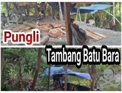 Waduhhh, Diduga Pengusaha Batu Bara Cihara Setor 2 Juta Per Tronton untuk Koordinasi Keamanan