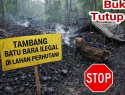 LP-KPK minta Kapolres Lebak, Tindak Tegas Tambang Batu Bara Ilegal di Lahan Perhutani Bayah