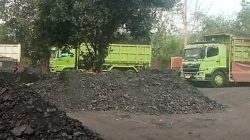 Lahan PT Cemindo Gemilang Bayah Diduga Dipakai Stockpile Batu Bara Ilegal