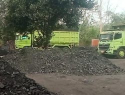 Lahan PT Cemindo Gemilang Bayah Diduga Dipakai Stockpile Batu Bara Ilegal