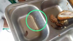 Ratusan Siswa MI Al Hadid Diduga Konsumsi MBG Berbelatung, SPPG Yayasan Hamim Center Akui Kelalaian